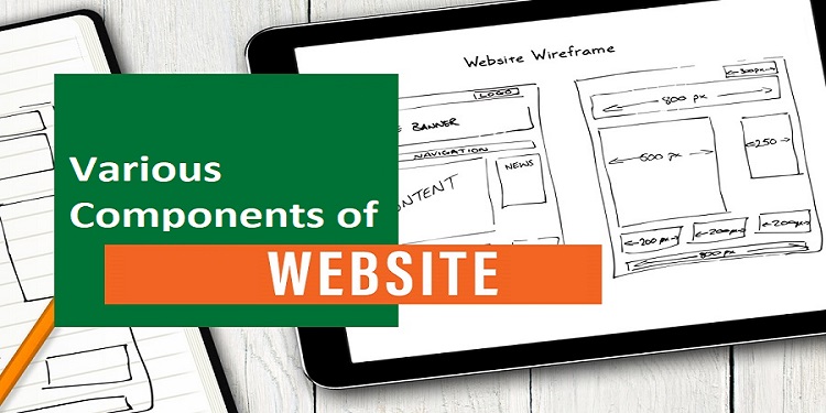 What are the Various Components of Website?