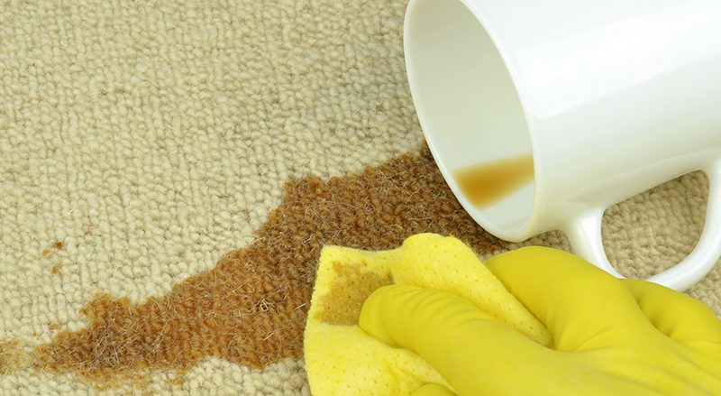 Carpet Stain Removal