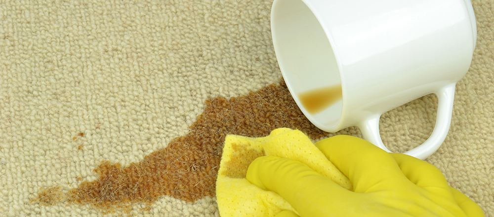 Carpet Stain Removal